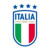 Non solo Lega Serie A, anche la FIGC apre la sua tv. Ma per adesso niente azzurri...