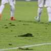 Monza, Zanaboni non verrà riscattato. E con la Pro Patria in Serie D, sarà svincolato...